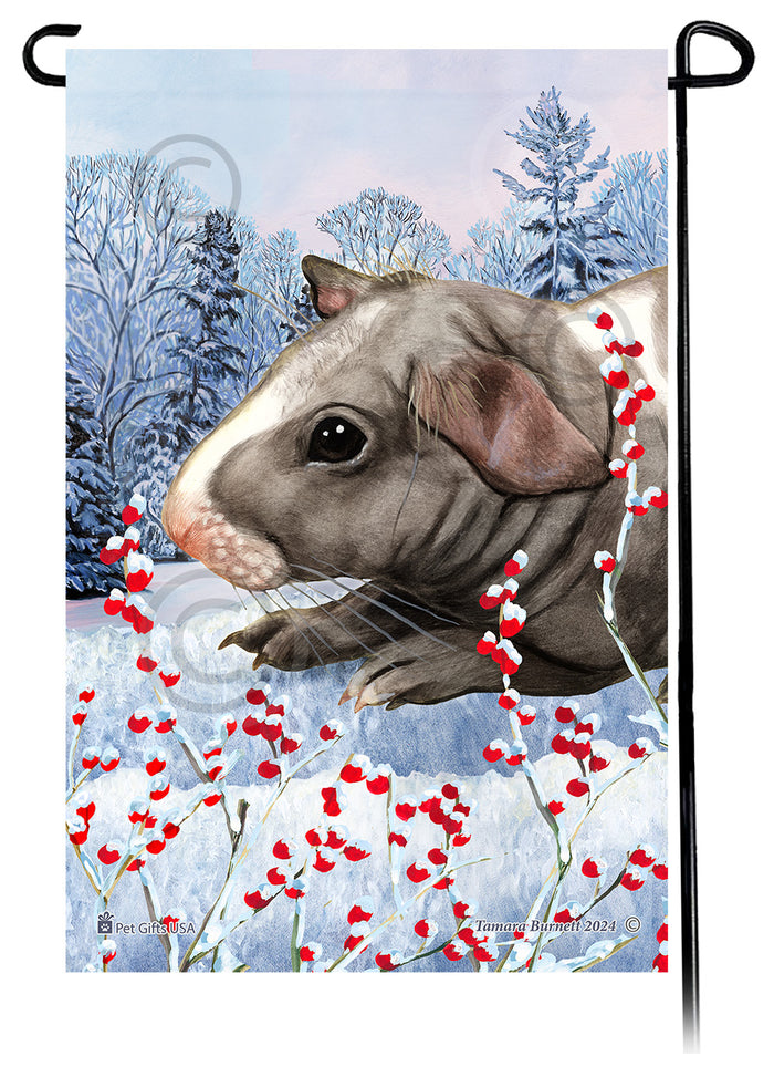 Skinny Hairless Guinea Pig Winterberries Garden Flags