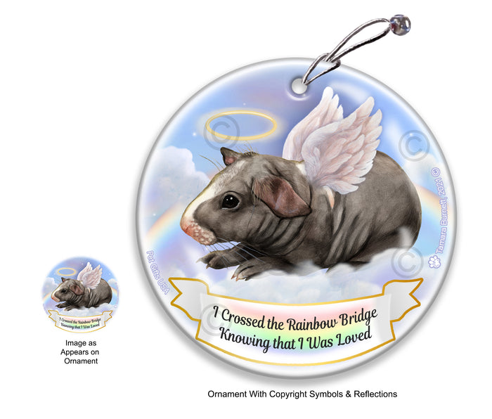 Guinea Pig Skinny (Hairless) Rainbow Bridge Memorial Ornament