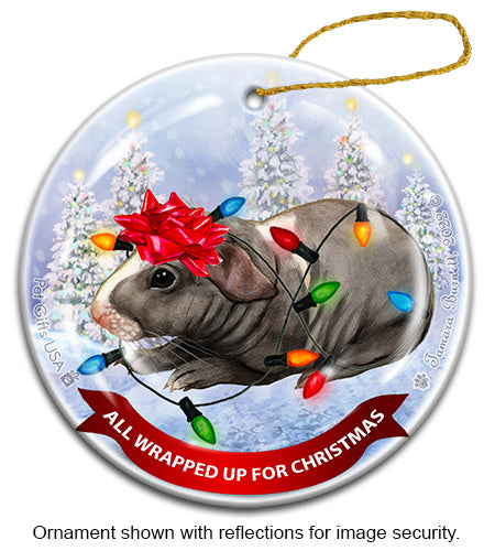 Guinea Pig Skinny (Hairless) All Wrapped Up Ornament