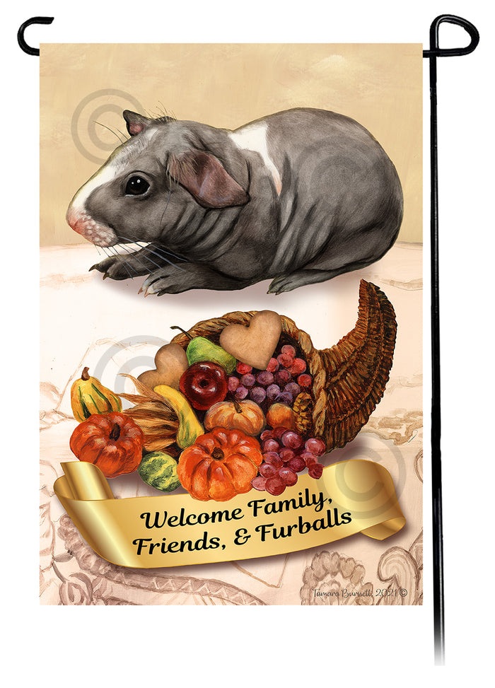 Skinny Hairless Guinea Pig Thanksgiving Garden Flags