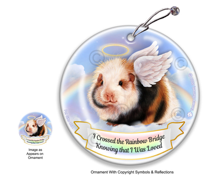 Guinea Pig Teddy Rainbow Bridge Memorial Ornament