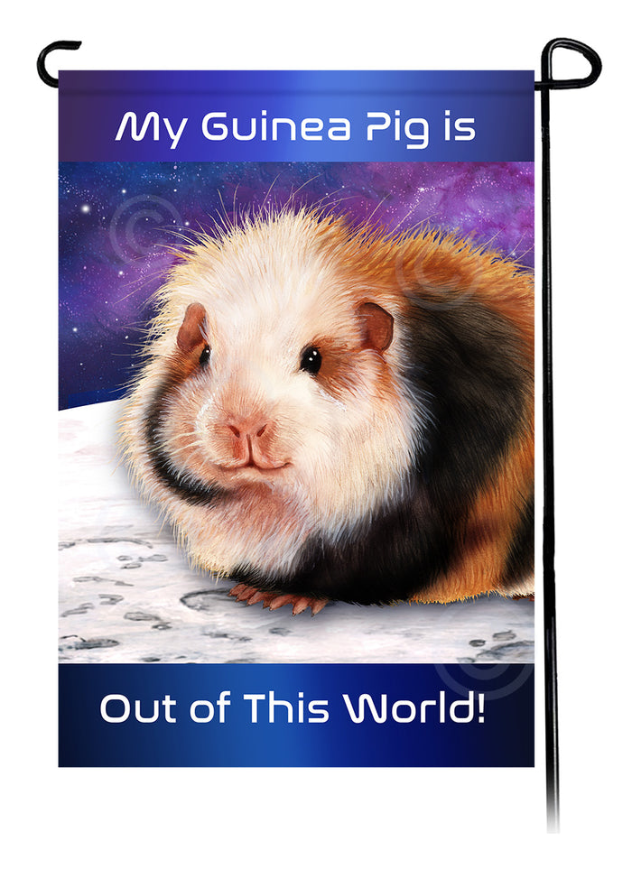 Teddy Bear Guinea Pig Out Of This World Garden Flags