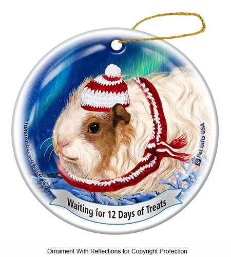 Guinea Pig Texel 12 Days of Treats Ornament