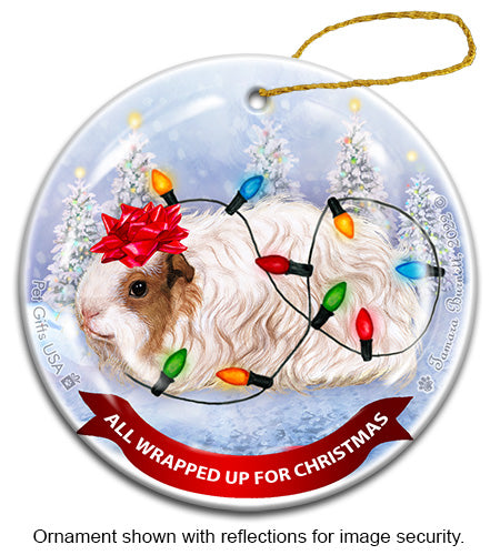 Guinea Pig Texel All Wrapped Up Ornament