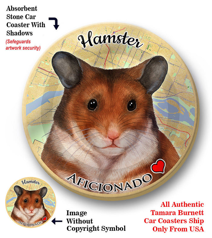 photo of Syrian Hamster