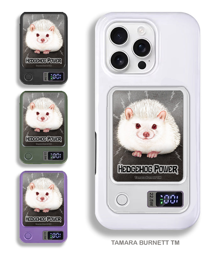 Hedgehog Albino Phone Bank Wireless Charger