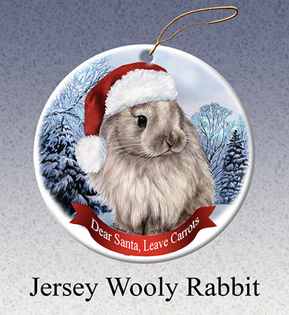 Jersey Wooly Rabbit - Dear Santa, Define Naughty Christmas Ornament