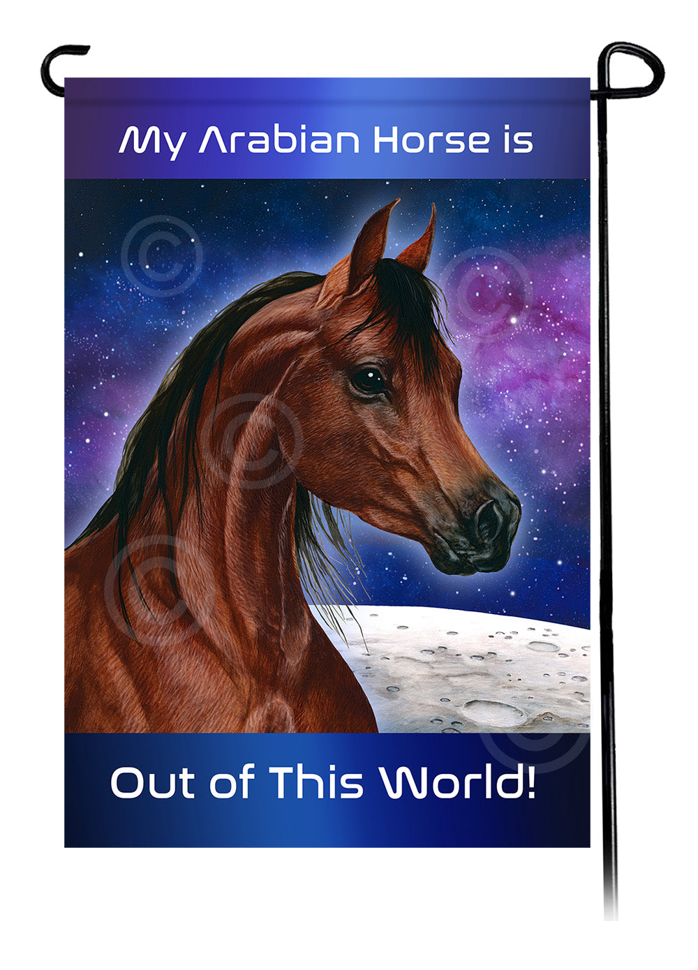 Arabian Horse Out Of This World Garden Flags