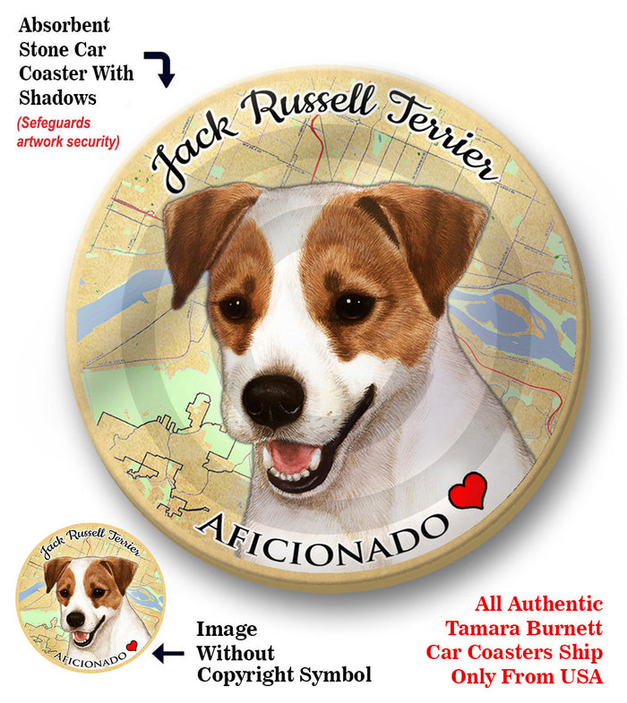 photo of Jack Russell Terrier