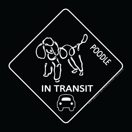Poodle K-Lines In Transit Magnets