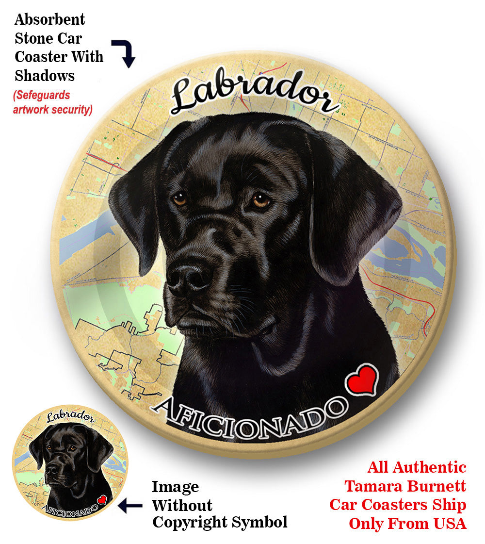 photo of Labrador Retriever