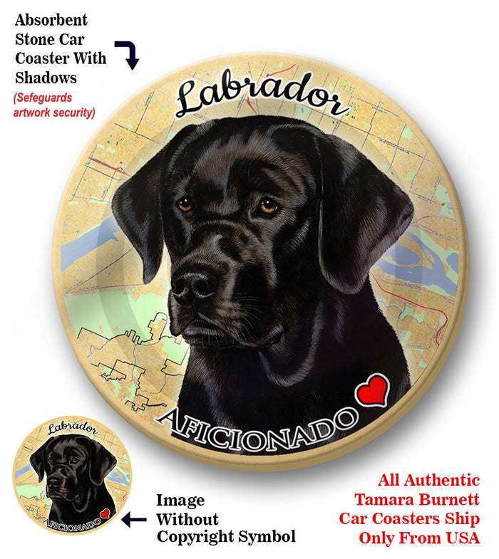 photo of Labrador Retriever