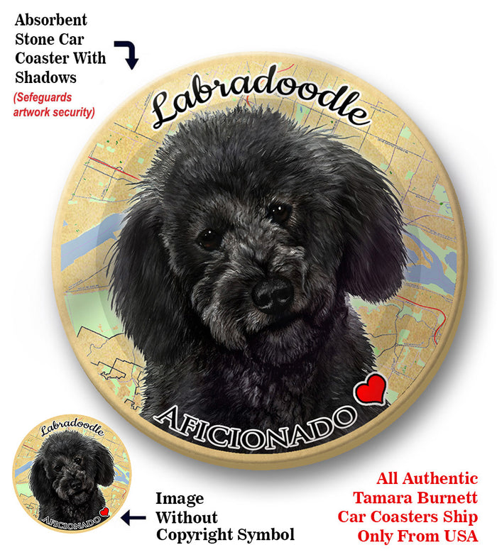 photo of Labradoodle