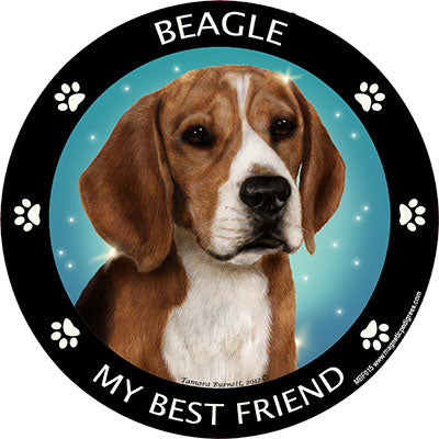 Beagle My Best Friend Magnets