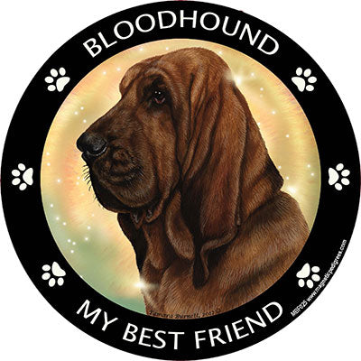 Bloodhound My Best Friend Magnets