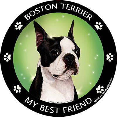Boston Terrier My Best Friend Magnets