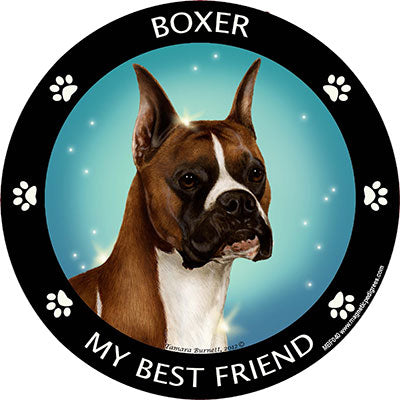 Boxer My Best Friend Magnets