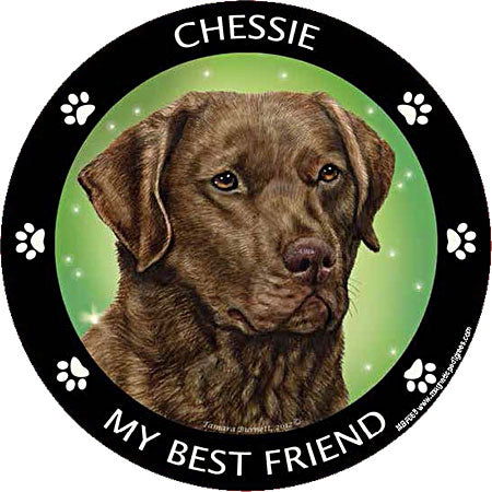 Chesapeake Bay Retriever My Best Friend Magnets