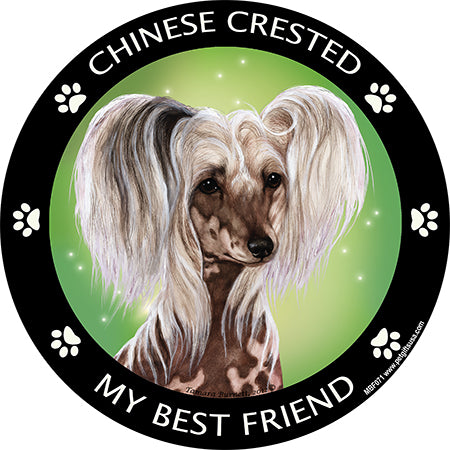 Chinese Crested My Best Friend Magnets