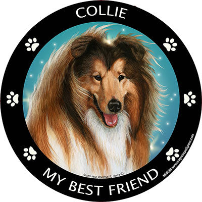 Collie My Best Friend Magnets