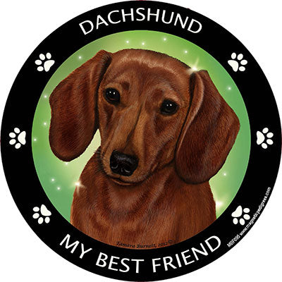 Dachshund My Best Friend Magnets