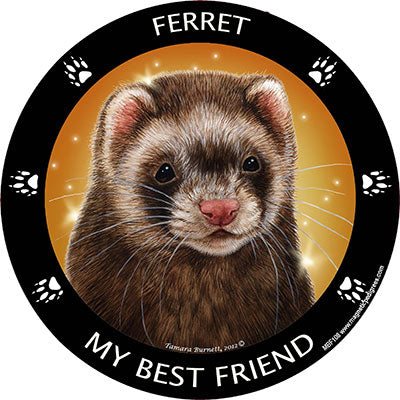 Brown Sable Ferret My Best Friend Magnets