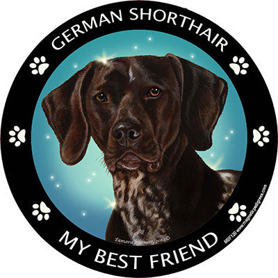 German Shorthaired Pointer My Best Friend Magnets