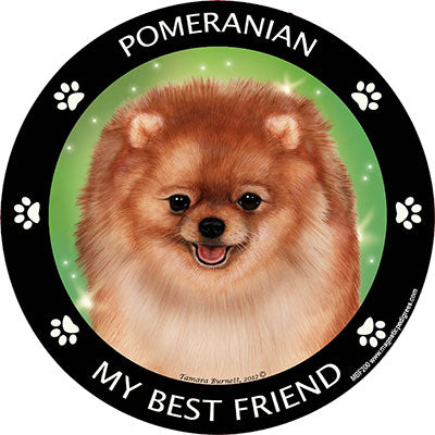 Pomeranian My Best Friend Magnets