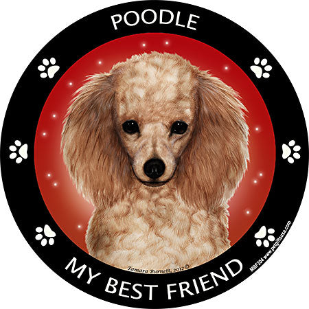 Poodle My Best Friend Magnets
