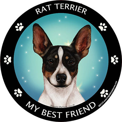 Rat Terrier My Best Friend Magnets