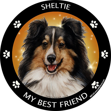 Shetland Sheepdog My Best Friend Magnets