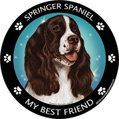 Springer Spaniel My Best Friend Magnets