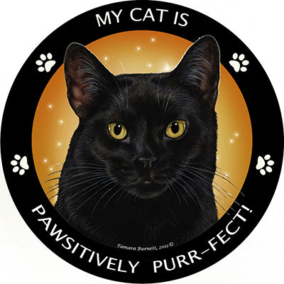 Black Shorthair Cat My Best Friend Magnets