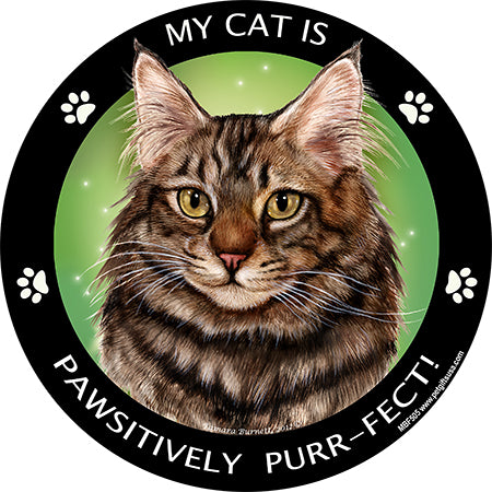 Maine Coon Cat My Best Friend Magnets