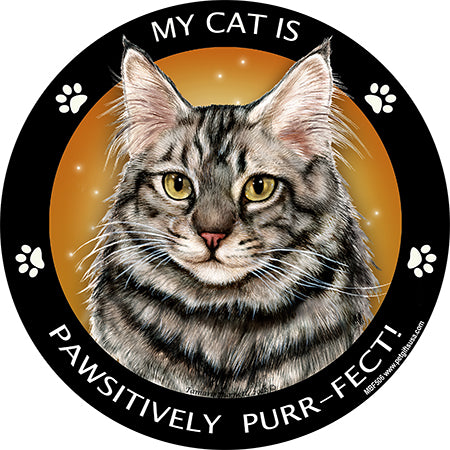 Maine Coon Cat My Best Friend Magnets