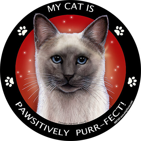 Siamese Cat My Best Friend Magnets