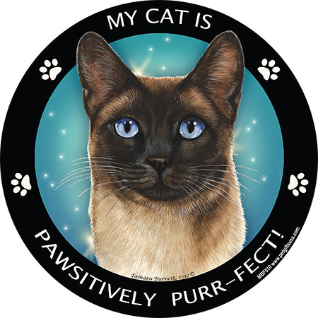 Siamese Cat My Best Friend Magnets