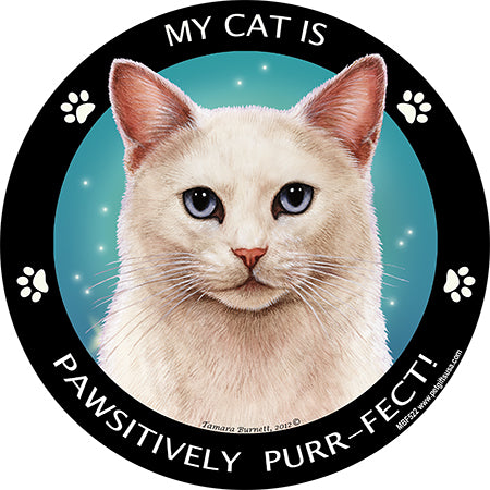 White Shorthair Cat My Best Friend Magnets