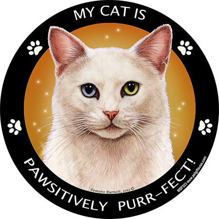 White Shorthair Cat My Best Friend Magnets