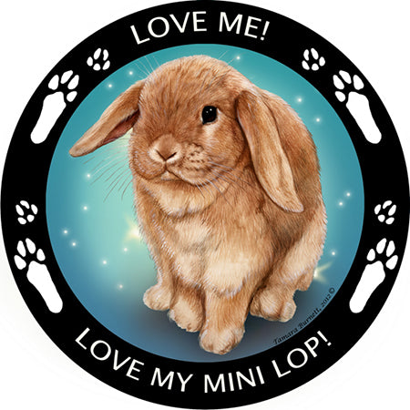 Mini Lop Rabbit My Best Friend Magnets