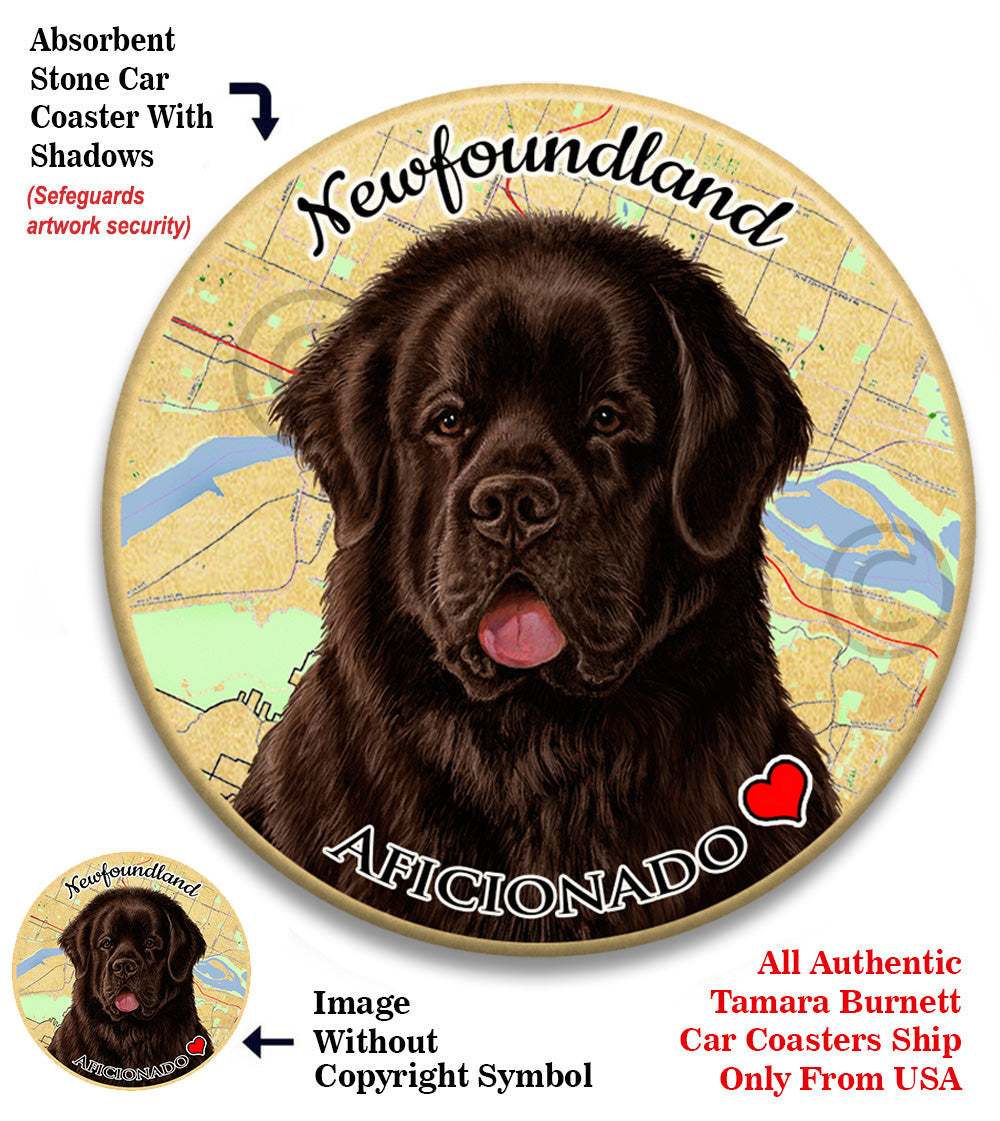 photo of Newfoundland