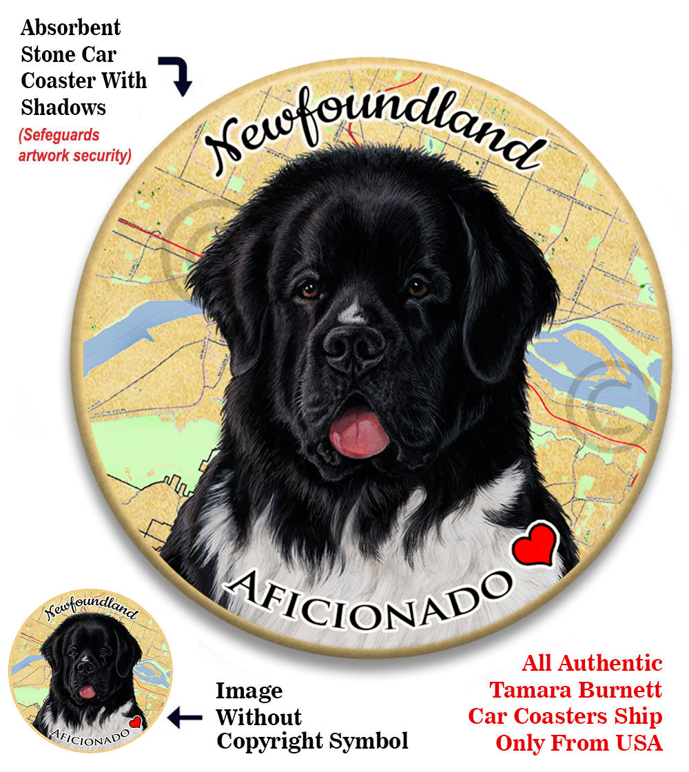 photo of Newfoundland