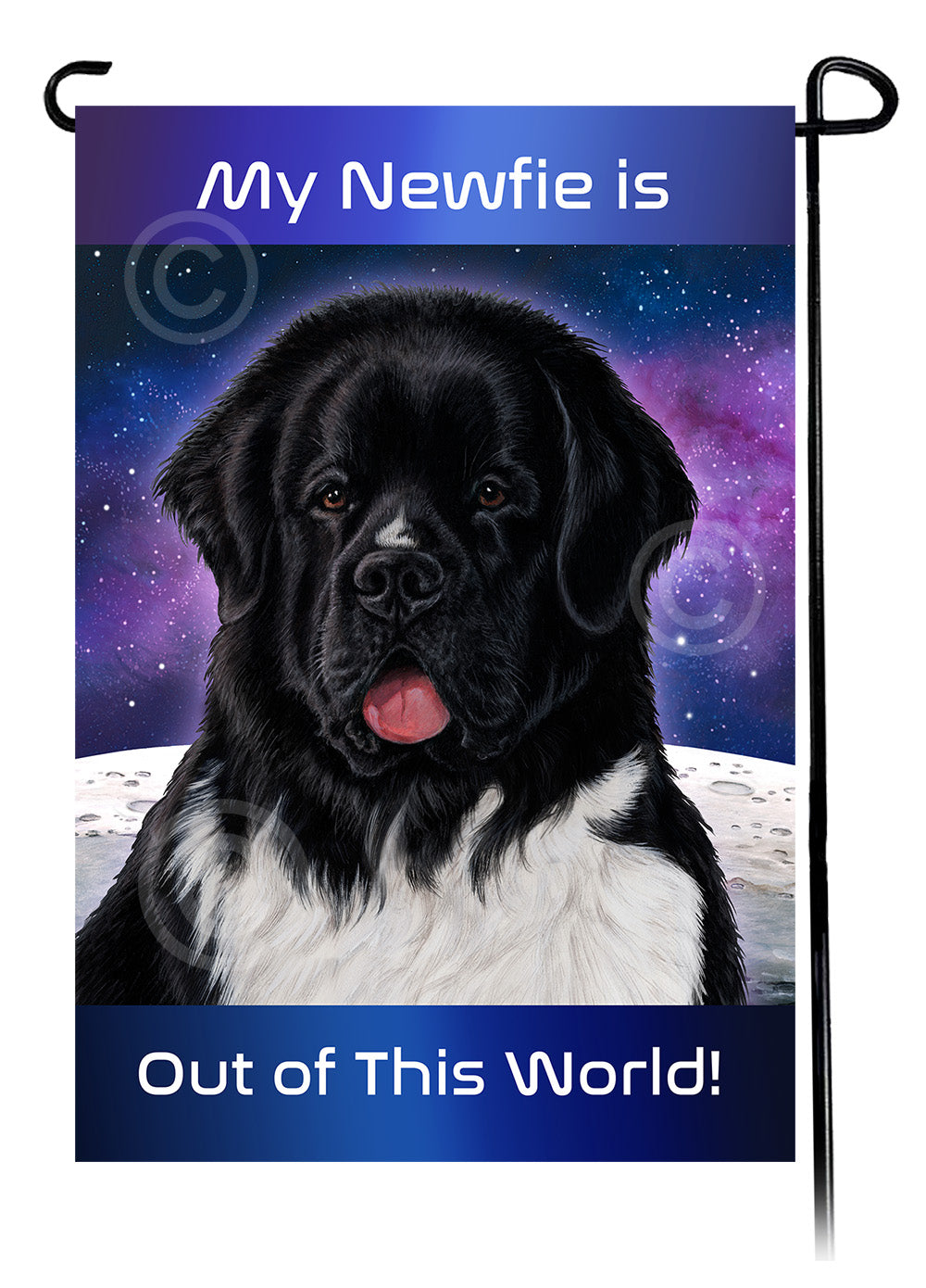 Newfoundland Out Of This World - Garden Flag