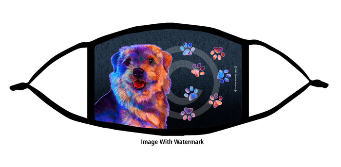 Norfolk Terrier Grizzle Face Mask