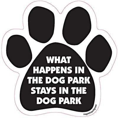  Dog Paw Shaped Magnets