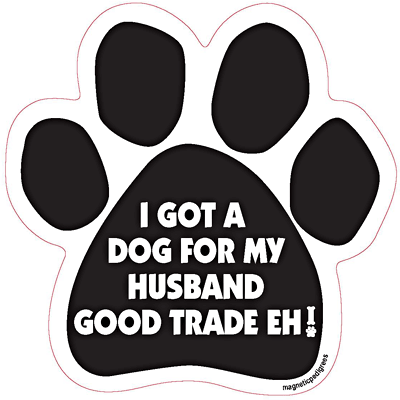  Dog Paw Shaped Magnets