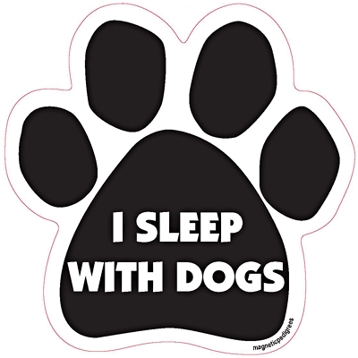  Dog Paw Shaped Magnets