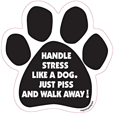  Dog Paw Shaped Magnets