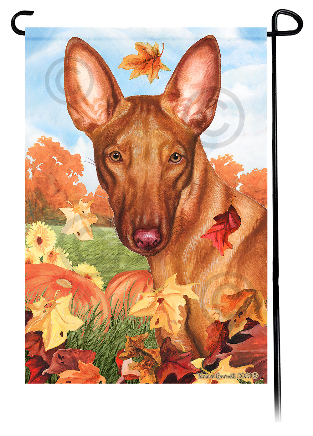Pharaoh Hound Falling Leaves Garden Flags
