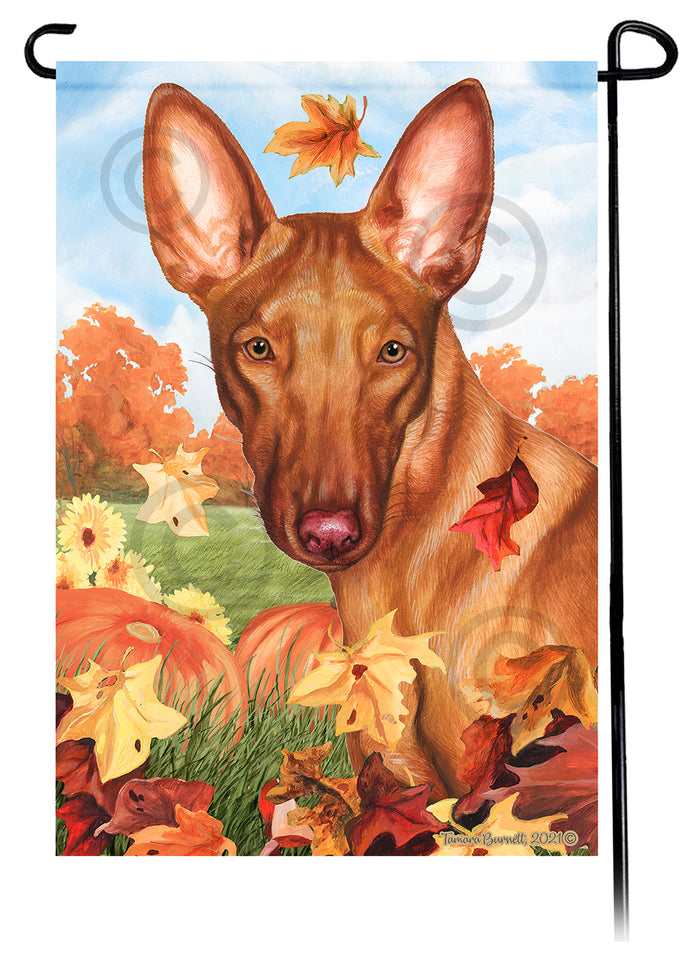Pharaoh Hound Falling Leaves Garden Flags